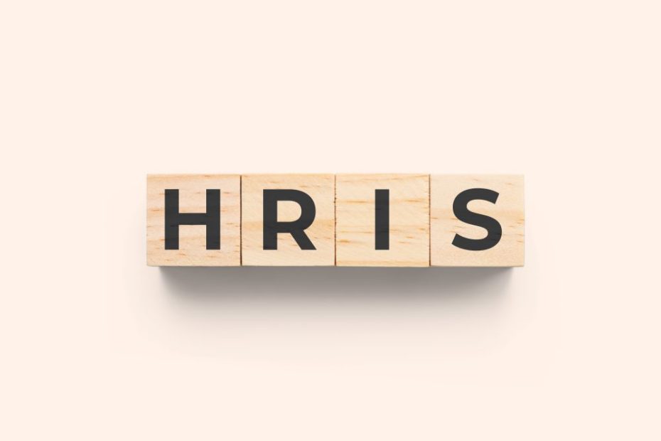 3 Pain Points You Might Have with Your HRIS | VertiSource HR