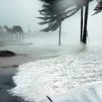 hurricane winds in florida