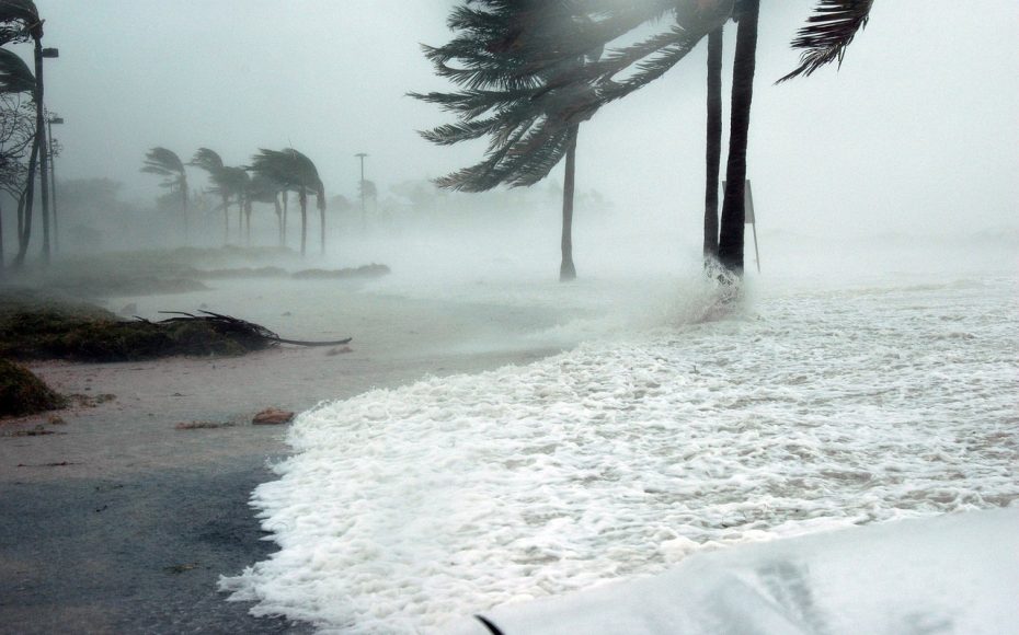 hurricane winds in florida