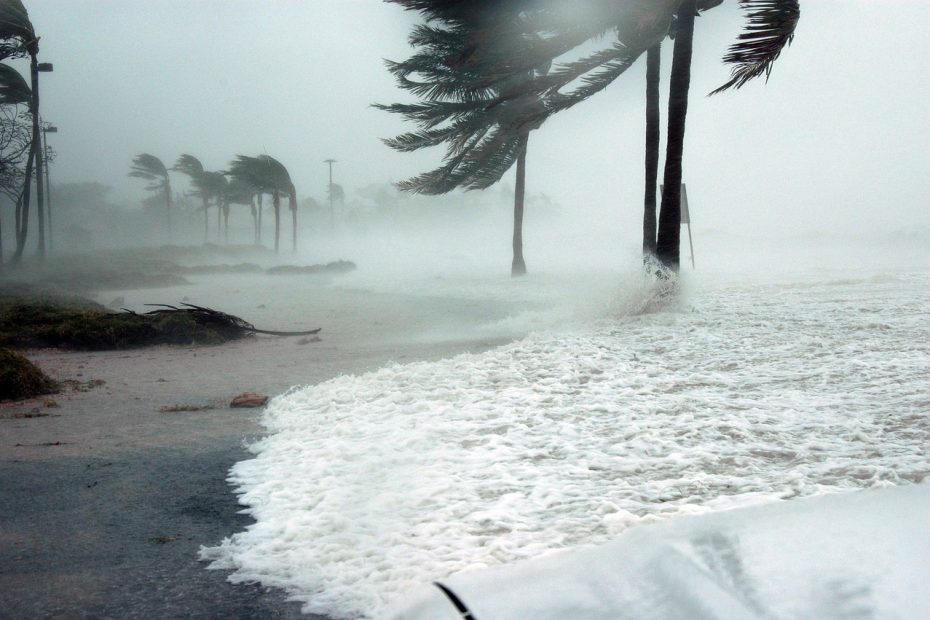 hurricane winds in florida